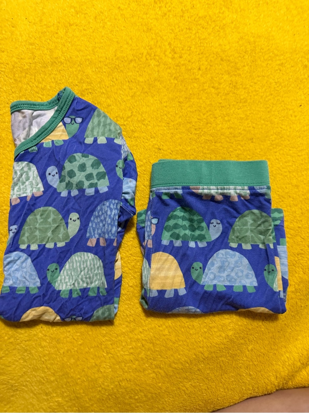 Little Sleepies Blue Turtle Print Pajama Set with Green Trim